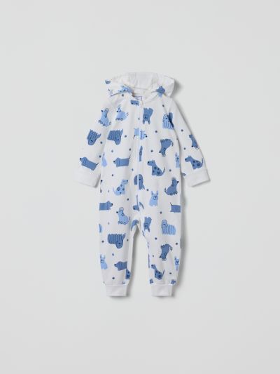 Polarn O. Pyret Collegehaalari koirakuviolla