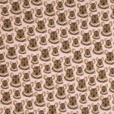 Metsola College Mouse Ballet 1 m, kuva 1 / 1