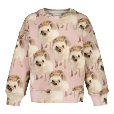 Black Friday BF HEDGEHOG PINK OVERSIZE SWEATER -PAITA - 86/92, kuva 1 / 1
