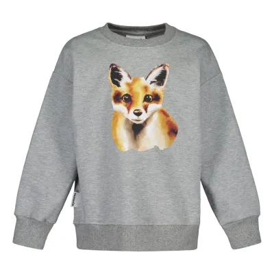 Urban Story Fox Cloudy Oversize Sweater -Collegepaita - 134/140, kuva 1 / 1
