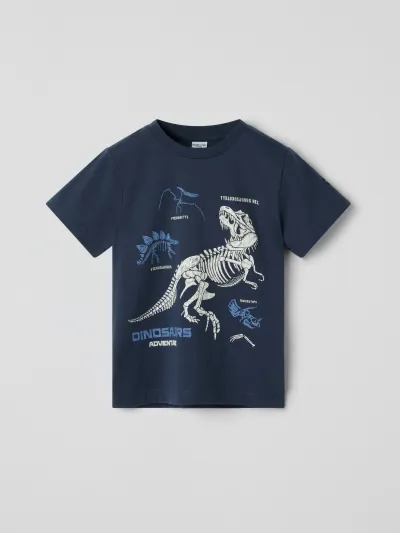 Polarn O. Pyret T-paita dinosaurukset, kuva 1 / 1