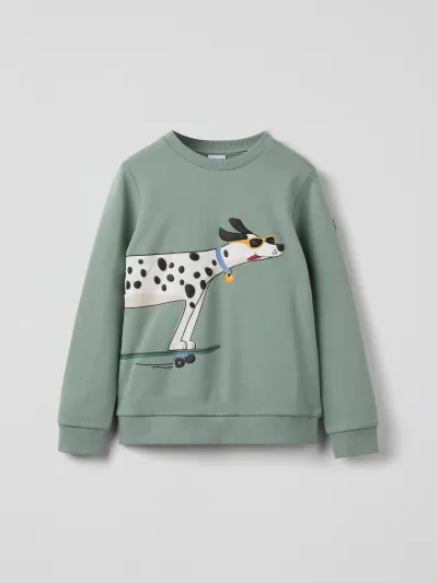 Polarn O. Pyret Collegepaita dalmatialainen, kuva 1 / 1