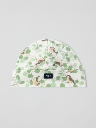 Polarn O. Pyret Trikoopipo linnut