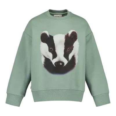 You and Me Badger Oversize Sweater -Collegepaita | Dusty Green - 146/152, kuva 1 / 1