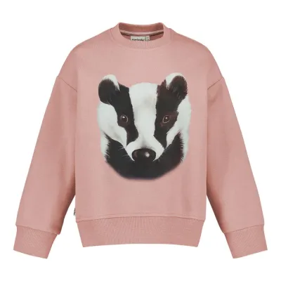 You and Me Badger Oversize Sweater -Collegepaita | Dusty Rose - 110/116, kuva 1 / 1