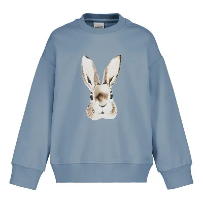 Winter Wonders Bunny Frosty Blue Oversize Sweater -Collegepaita - 110/116, kuva 1 / 1